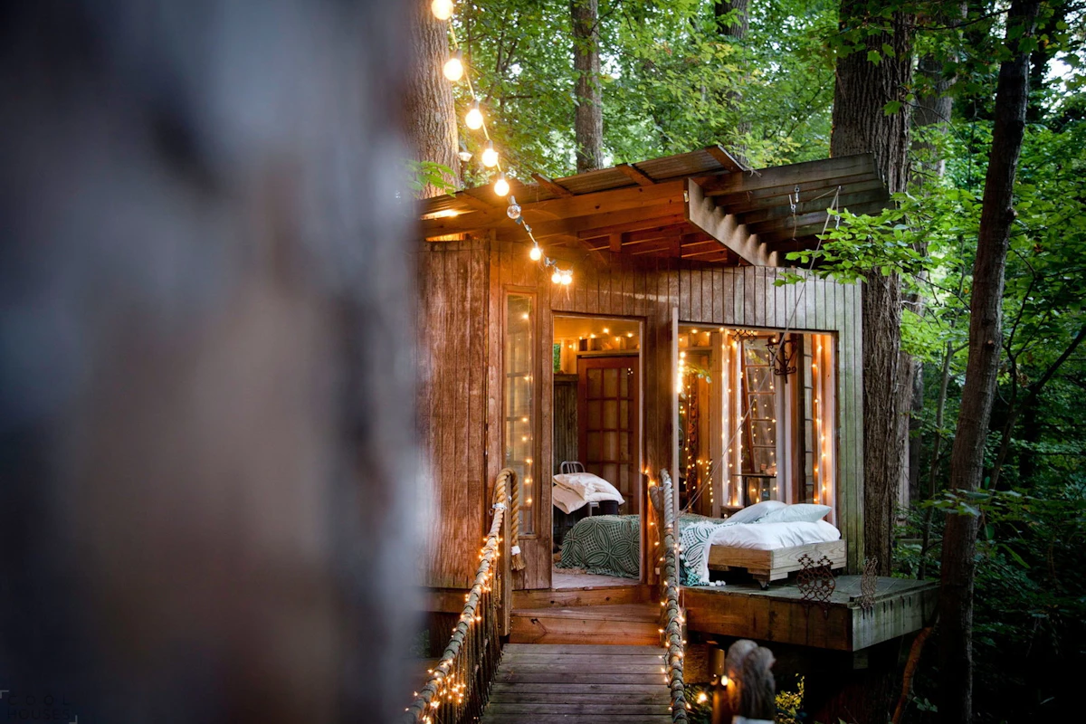 12 Amazing Tree Houses You'll Want To Live In