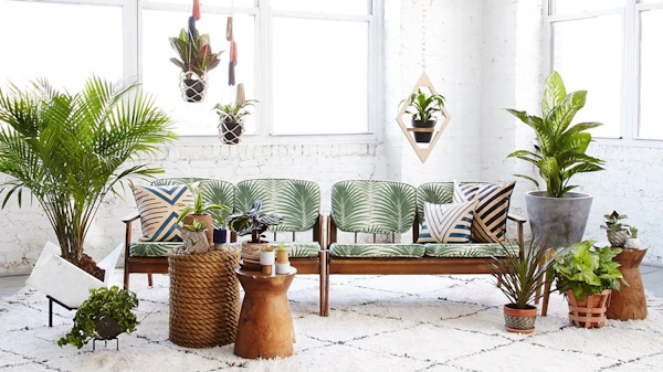 Incorporating Natural Elements into Your Home