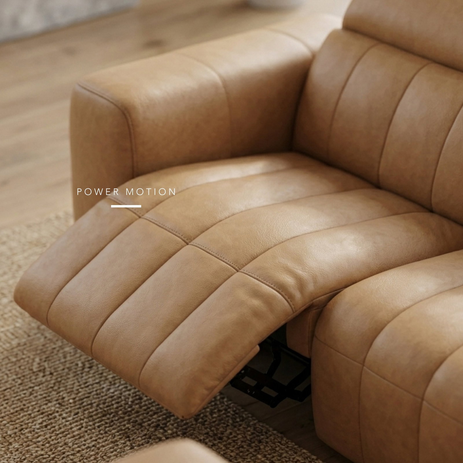 Power motion electric recline and adjustable headrests