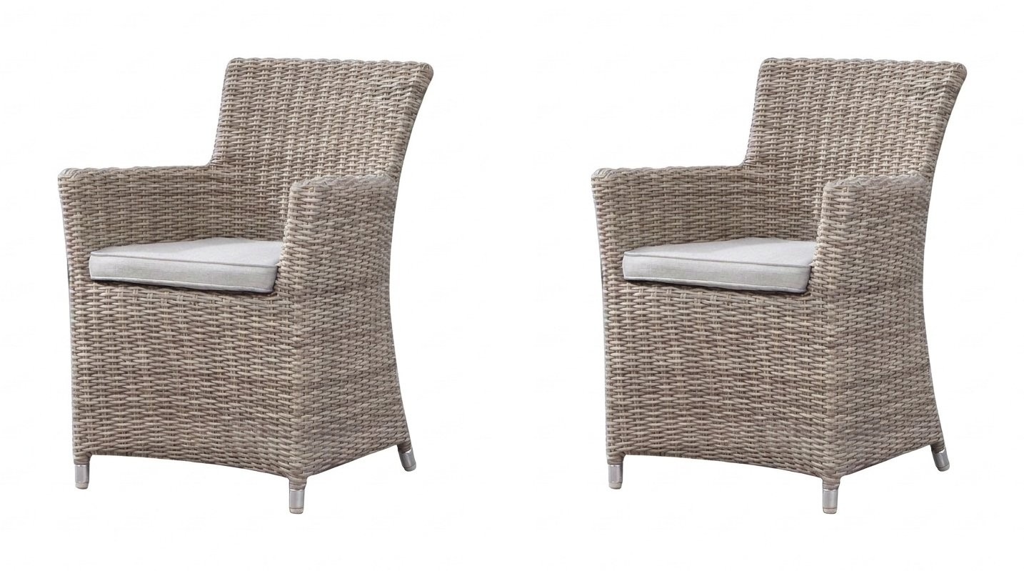 Savannah Outdoor Wicker Dining Chair Set Of Two