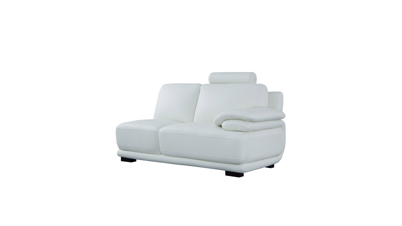 Juliet Leather Two Seat One Arm Module