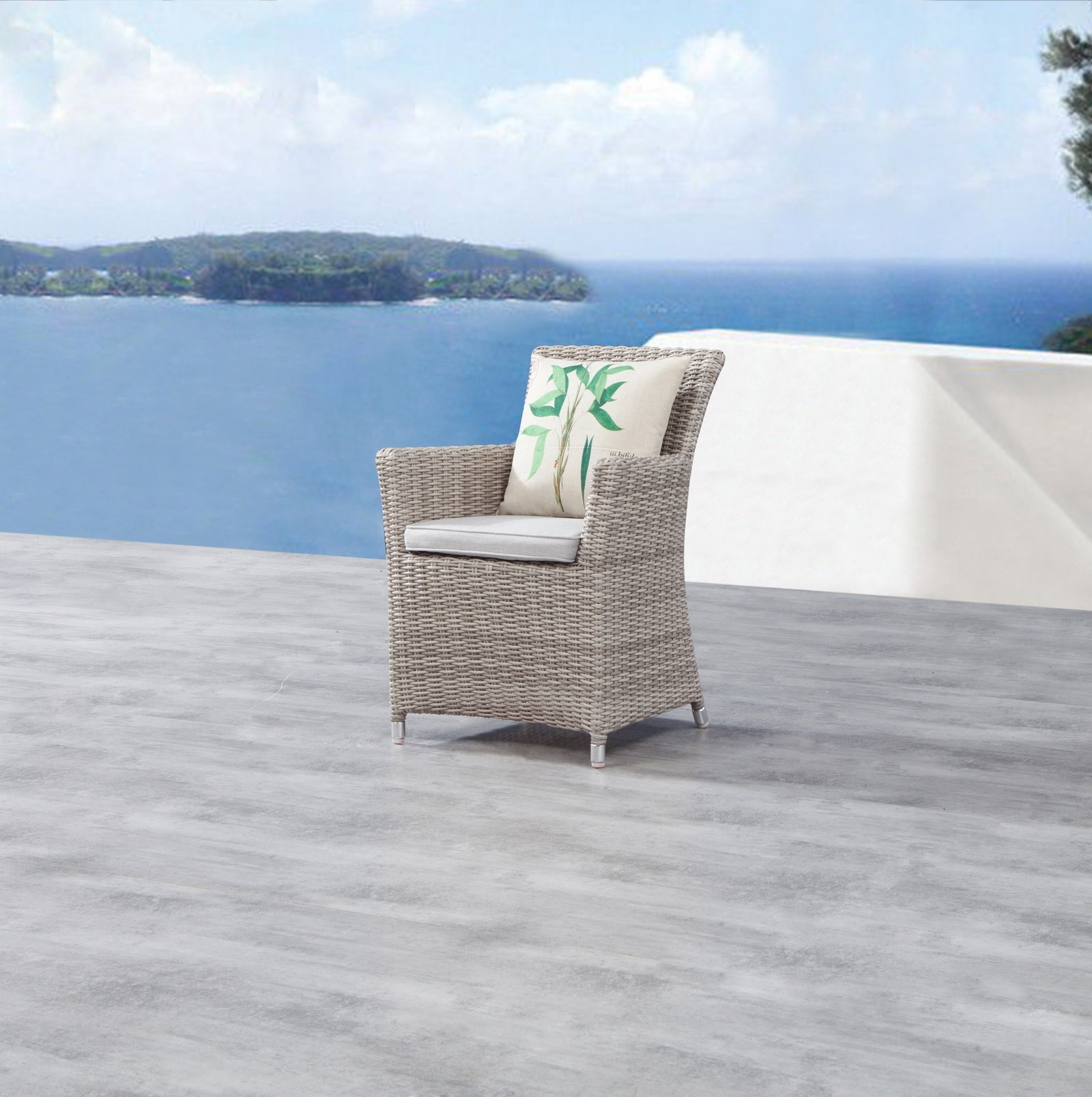 Savannah Outdoor Wicker Dining Chair Set Of Two